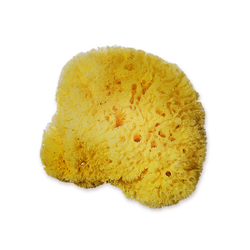 Sea Sponge - Caribbean Grass (SML)