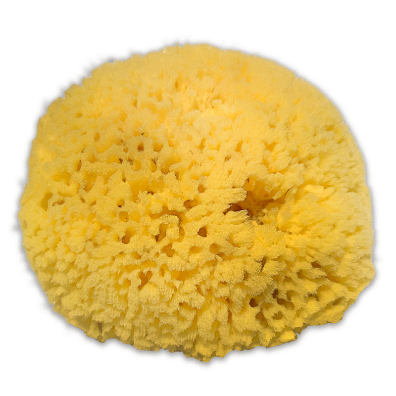 Sea Sponge - Yellow (LRG) - Sponge Spirit