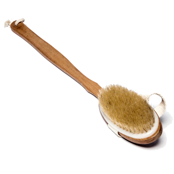 Bath Stick - Long Handle Body Brush